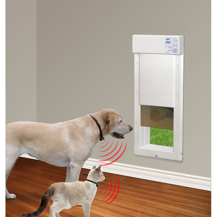 High Tech Pet Metal Wall Mount Pet Door for Dog and Cat Wayfair